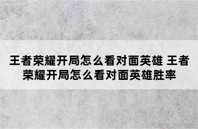 王者荣耀开局怎么看对面英雄 王者荣耀开局怎么看对面英雄胜率